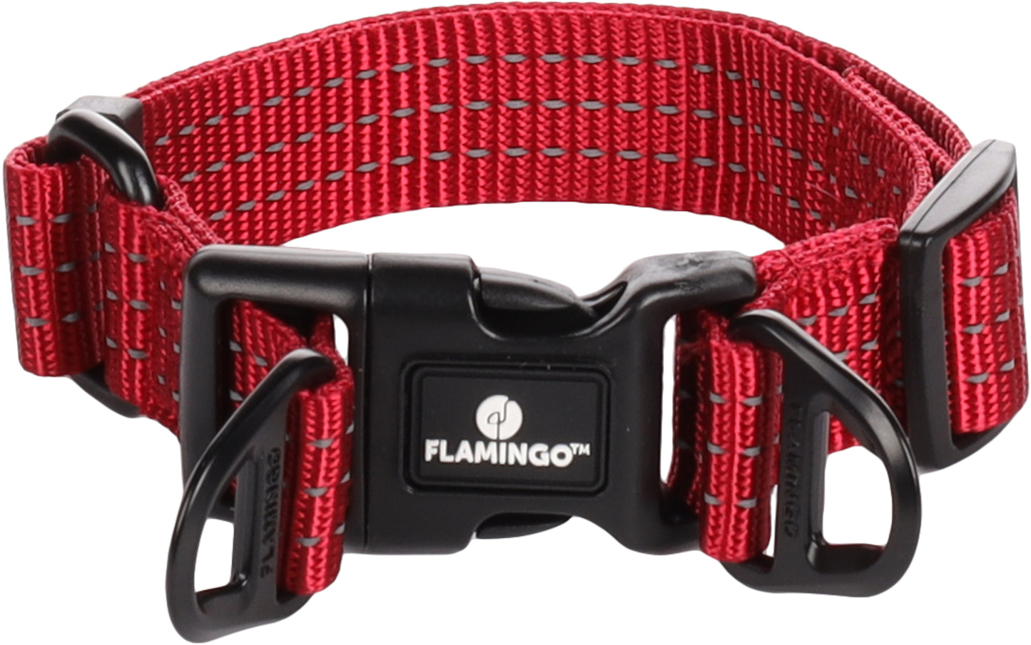 Halsband Zorba – Stilvolles Design & hoher Tragekomfort für deinen Hund