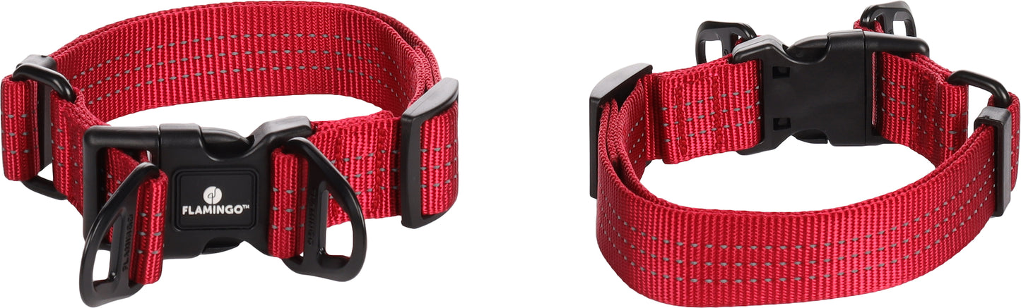Halsband Zorba – Stilvolles Design & hoher Tragekomfort für deinen Hund