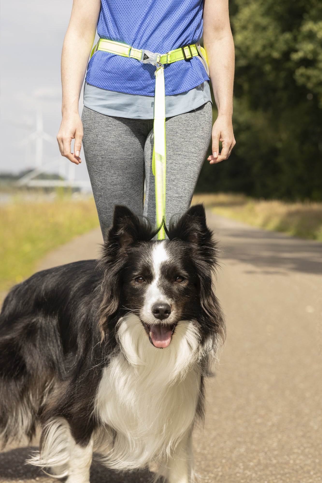 Joggingleine mit Hüftgurt Stoffel – Sicherheit & Komfort für aktive Hundeliebhaber!