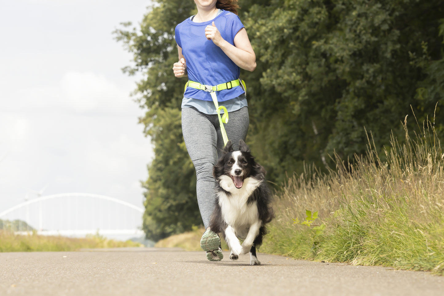 Joggingleine mit Hüftgurt Stoffel – Sicherheit & Komfort für aktive Hundeliebhaber!