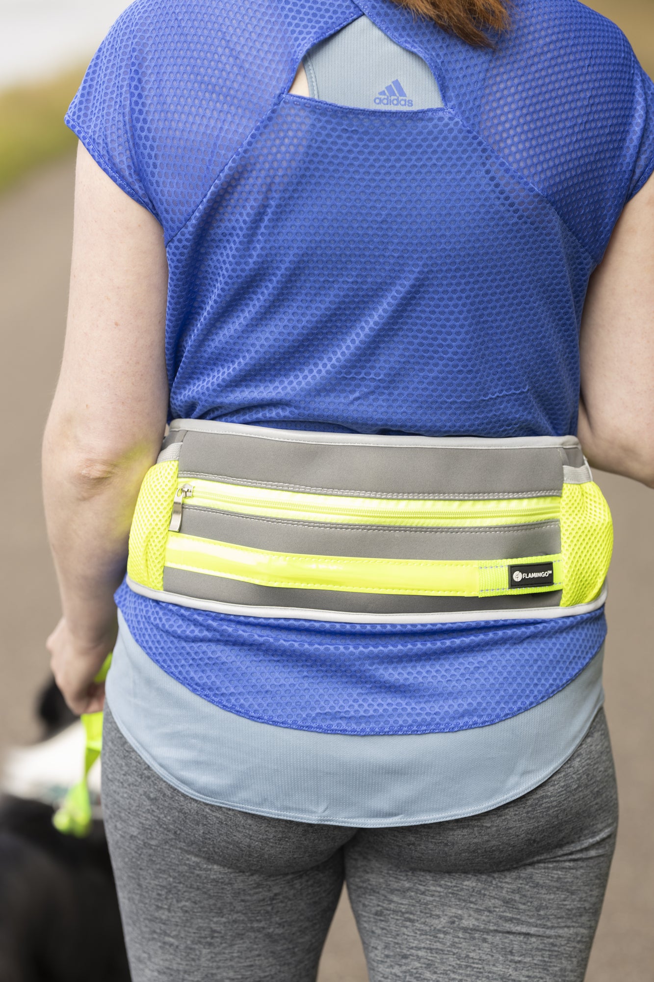 Joggingleine mit Hüftgurt Stoffel – Sicherheit & Komfort für aktive Hundeliebhaber!
