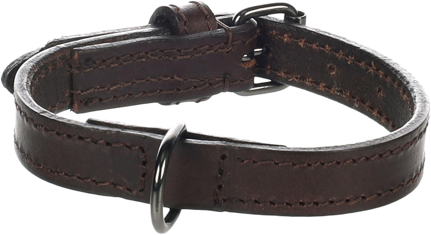 Halsband Denver – Robust, Stilvoll & Langlebig