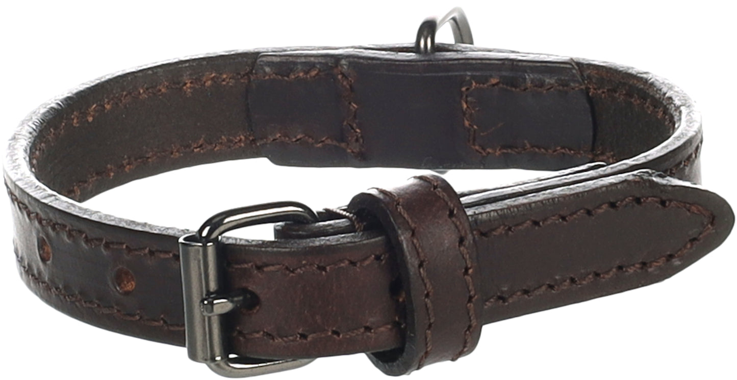 Halsband Denver – Robust, Stilvoll & Langlebig