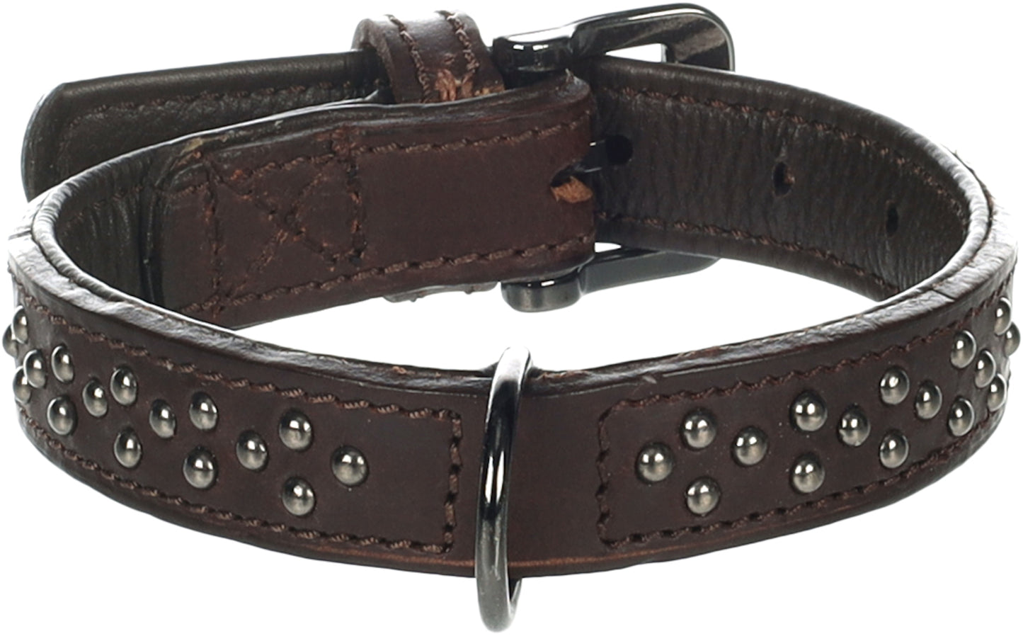 Halsband Denver – Robustes Design mit stylischen Nieten