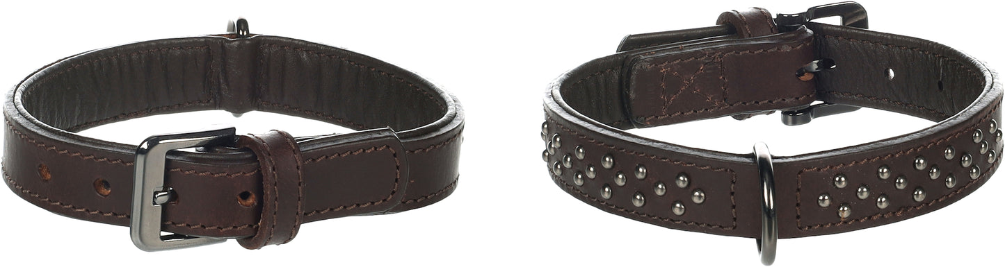 Halsband Denver – Robustes Design mit stylischen Nieten
