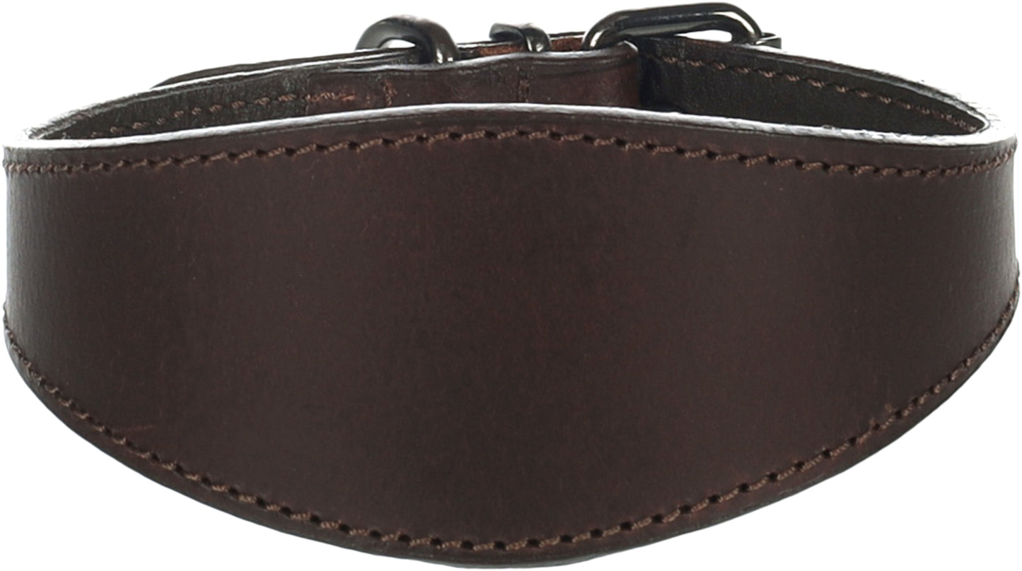 Halsband Windhund Denver – Eleganz & Komfort für schlanke Hälse