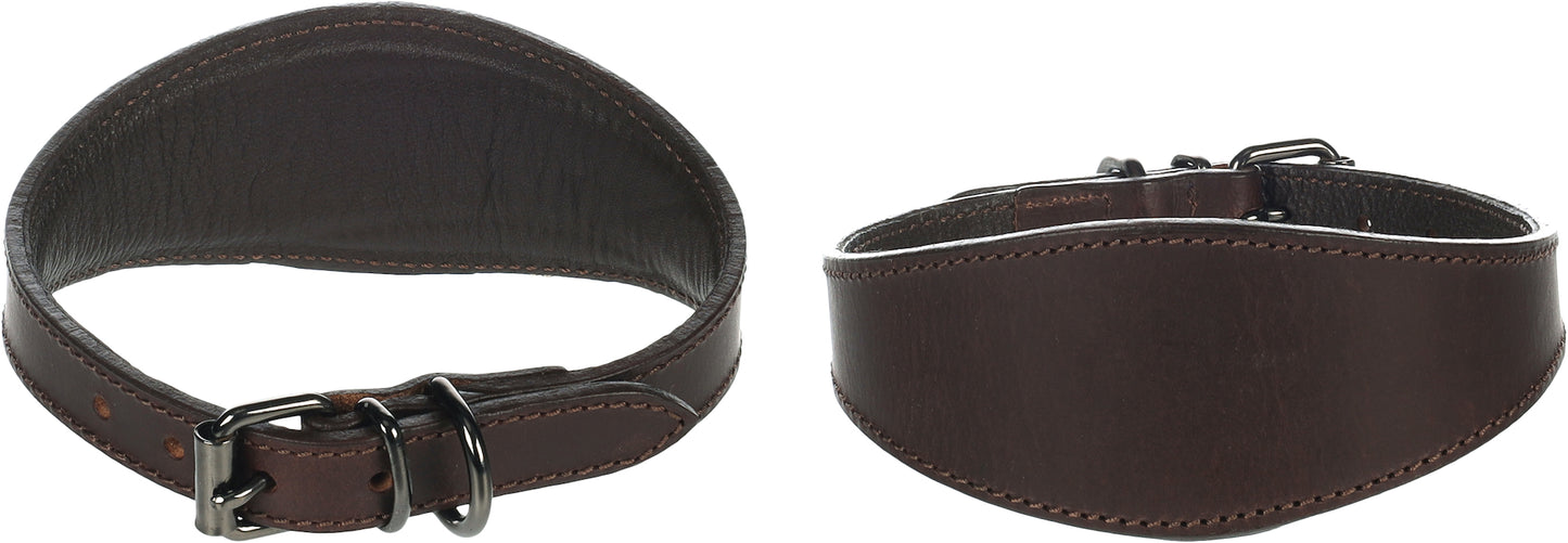 Halsband Windhund Denver – Eleganz & Komfort für schlanke Hälse