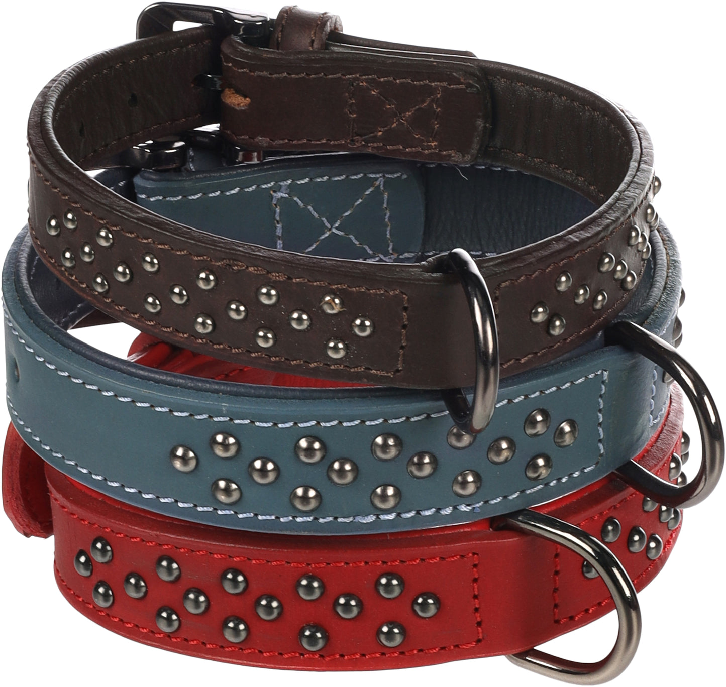 Halsband Denver – Robustes Design mit stylischen Nieten