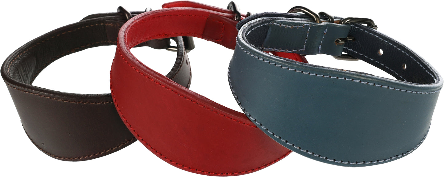 Halsband Windhund Denver – Eleganz & Komfort für schlanke Hälse