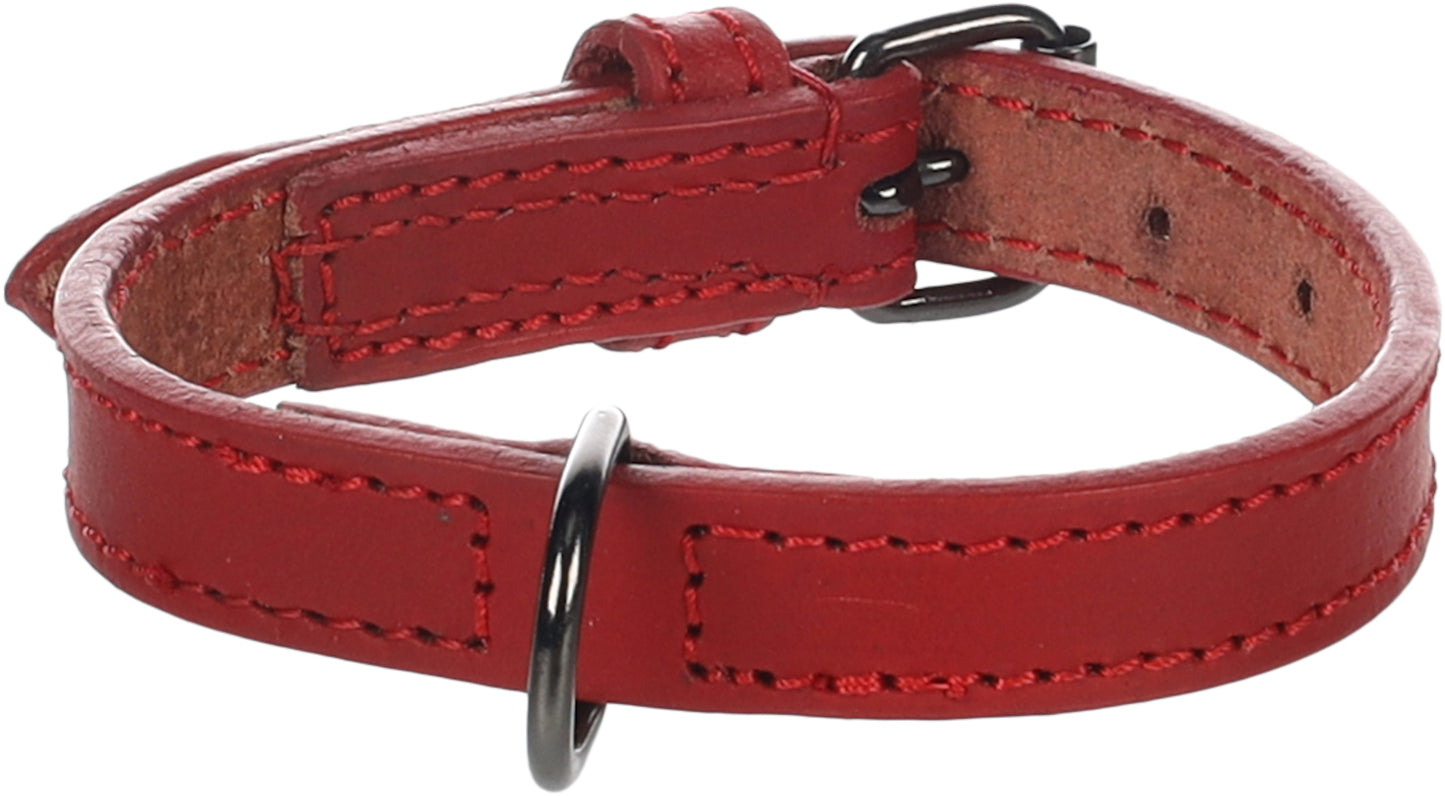 Halsband Denver – Robust, Stilvoll & Langlebig