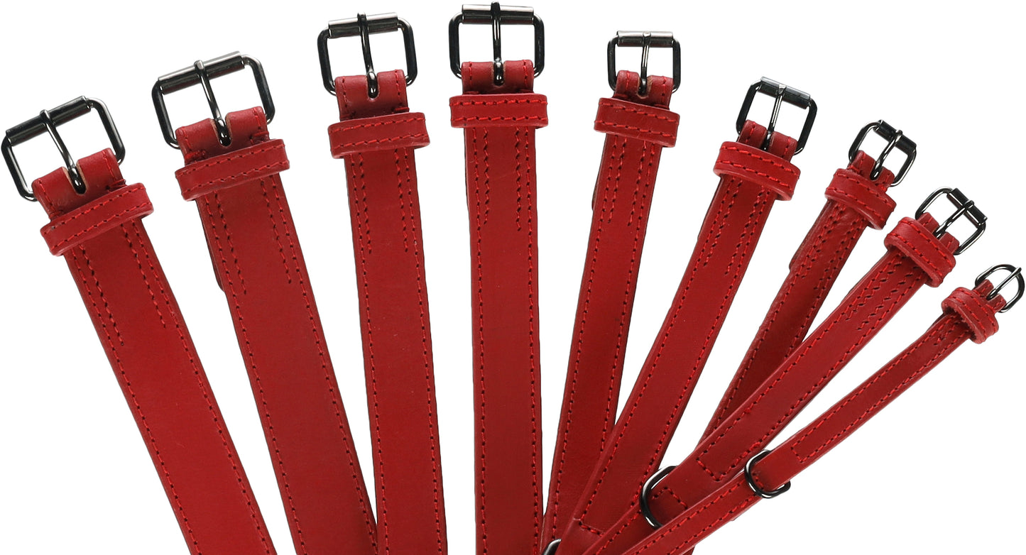 Halsband Denver – Robust, Stilvoll & Langlebig