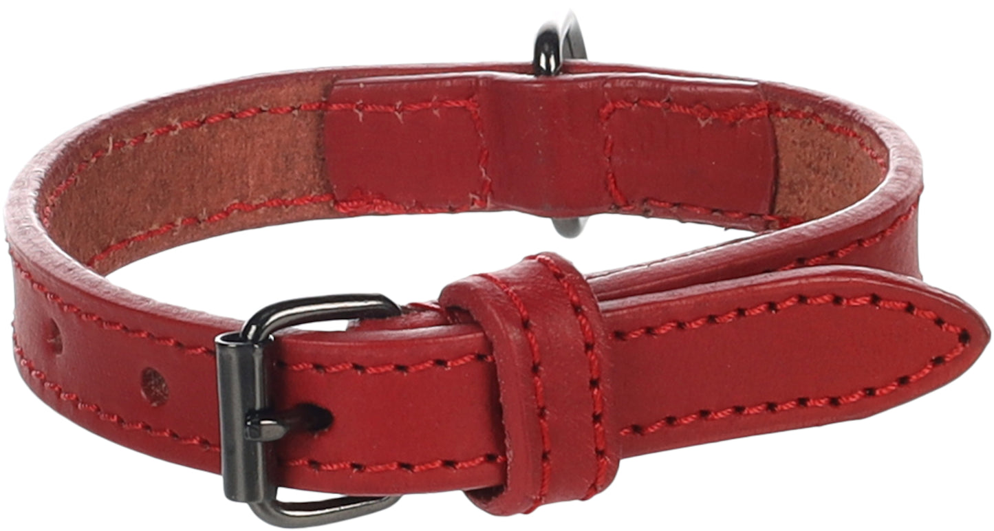 Halsband Denver – Robust, Stilvoll & Langlebig
