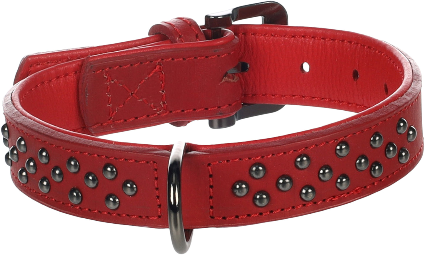 Halsband Denver – Robustes Design mit stylischen Nieten
