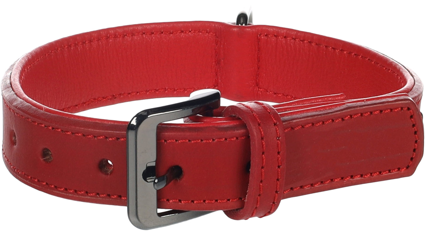 Halsband Denver – Robustes Design mit stylischen Nieten