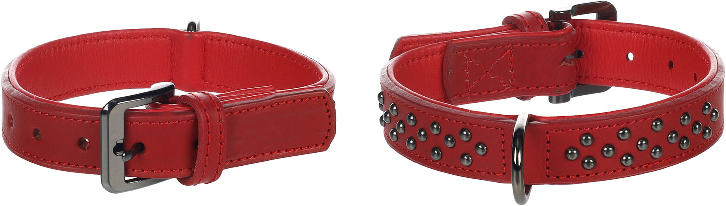 Halsband Denver – Robustes Design mit stylischen Nieten