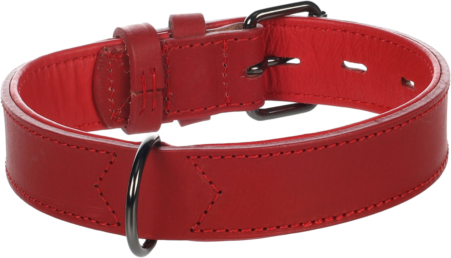 Halsband Denver – Extra Breit, Gepolstert & Stilvoll für maximalen Komfort