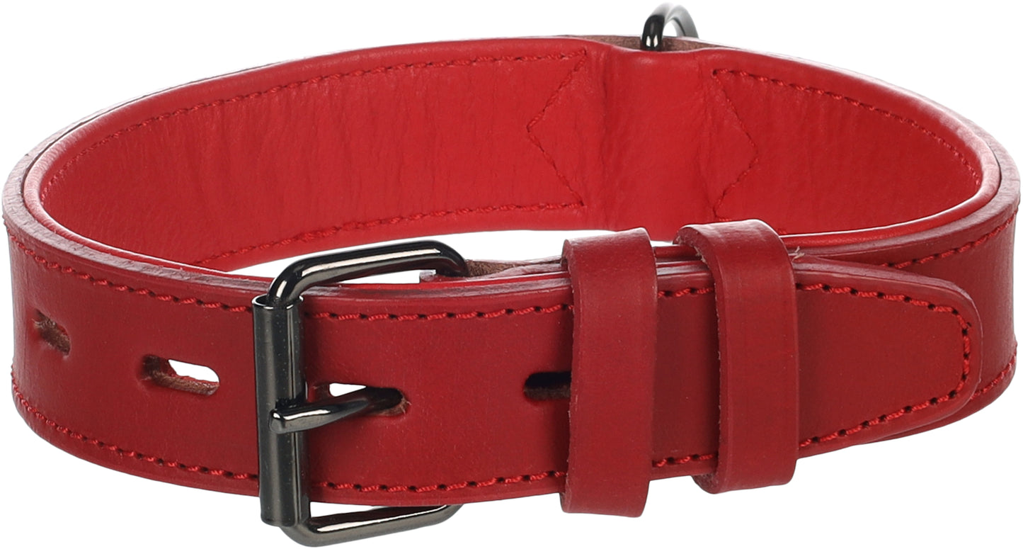 Halsband Denver – Extra Breit, Gepolstert & Stilvoll für maximalen Komfort