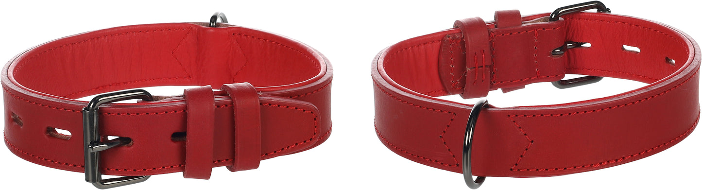Halsband Denver – Extra Breit, Gepolstert & Stilvoll für maximalen Komfort