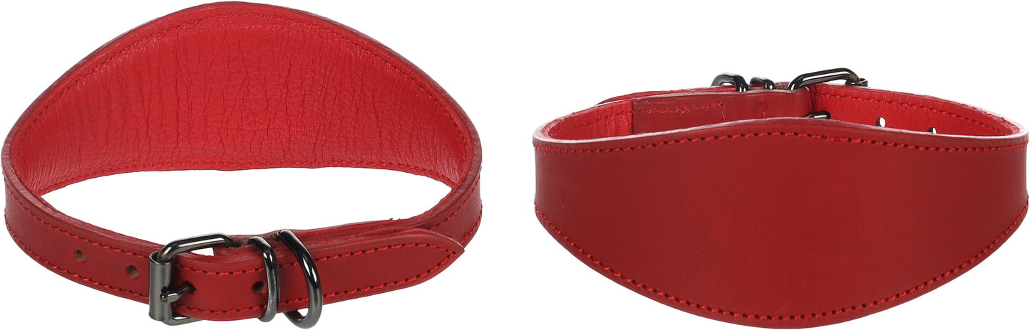 Halsband Windhund Denver – Eleganz & Komfort für schlanke Hälse