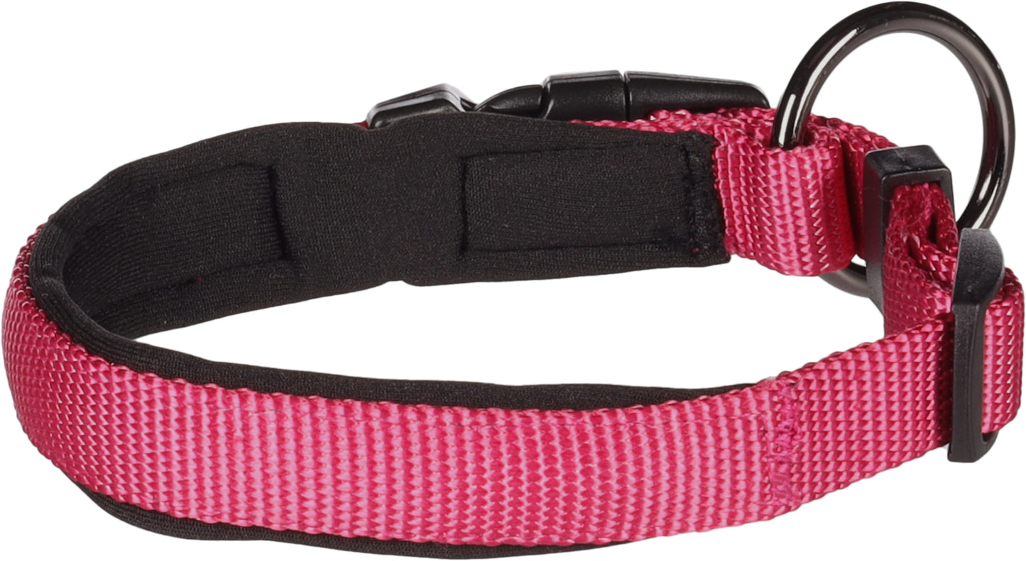 Abbi Hundehalsband – Stilvoll, Komfortabel & Funktional