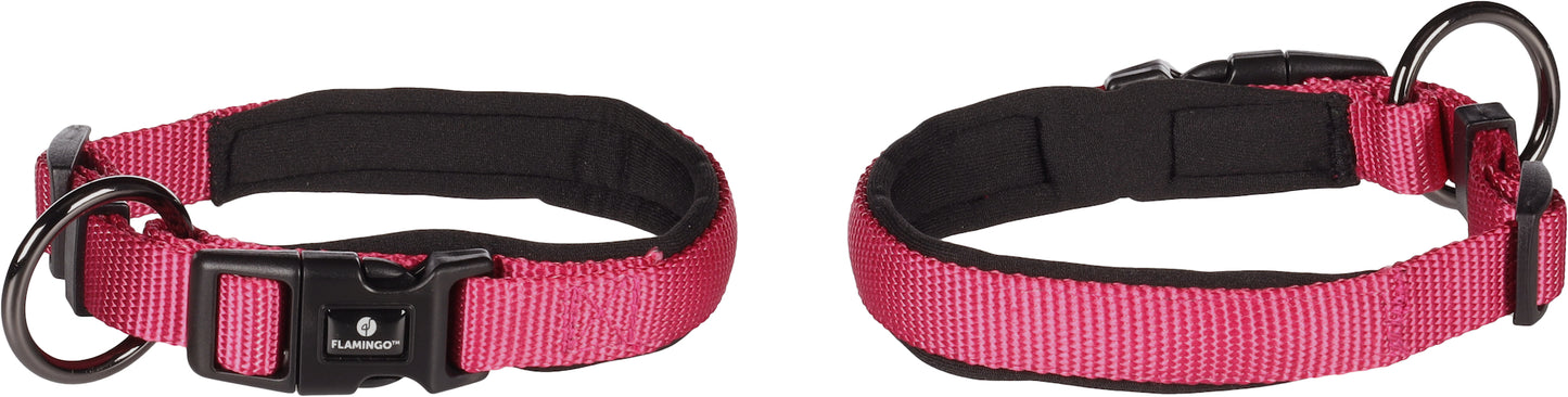 Abbi Hundehalsband – Stilvoll, Komfortabel & Funktional