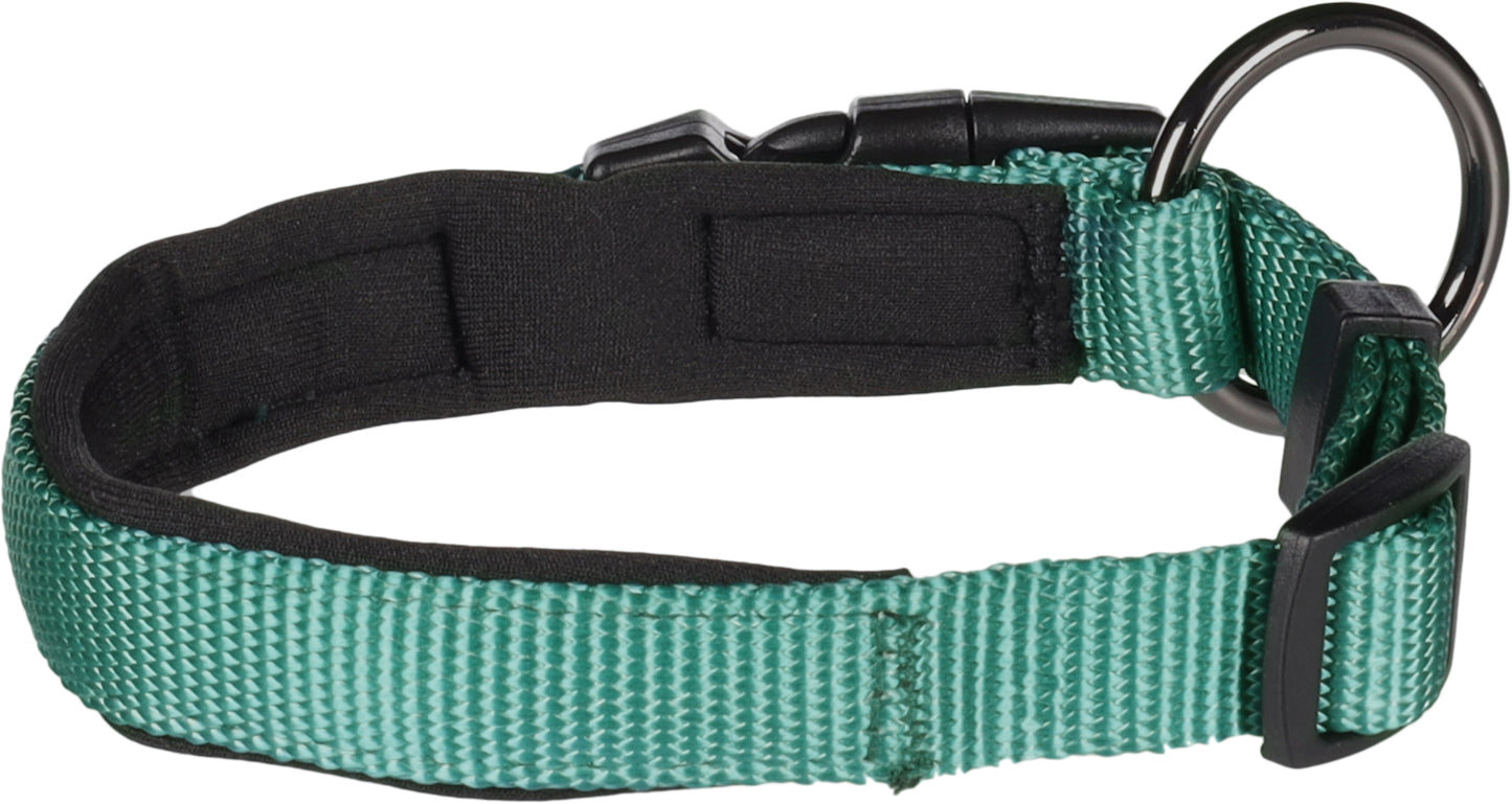 Abbi Hundehalsband – Stilvoll, Komfortabel & Funktional