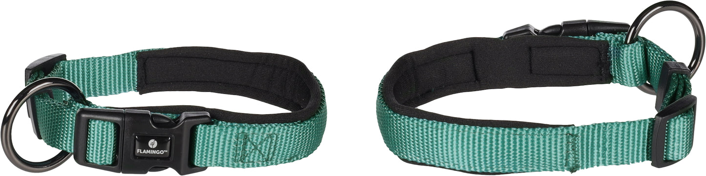 Abbi Hundehalsband – Stilvoll, Komfortabel & Funktional
