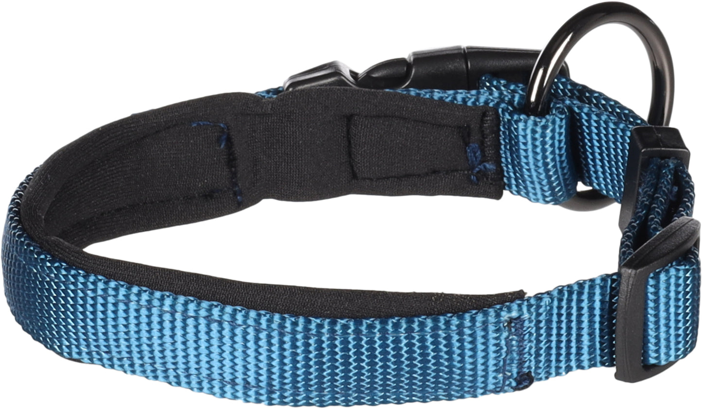 Abbi Hundehalsband – Stilvoll, Komfortabel & Funktional