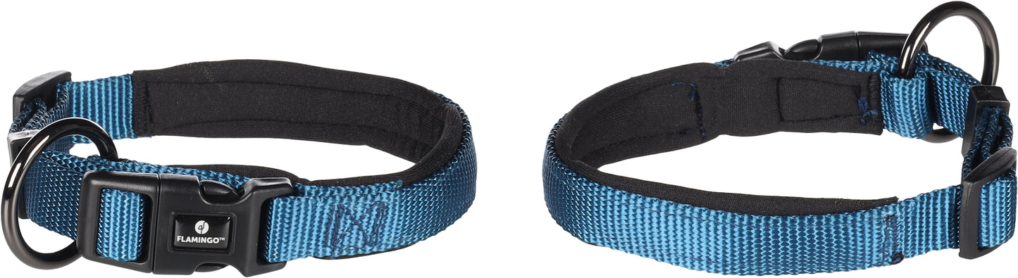Abbi Hundehalsband – Stilvoll, Komfortabel & Funktional