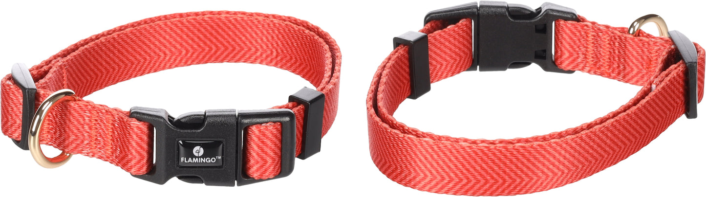 Halsband Noekie – Strapazierfähig, Komfortabel & Stilvoll