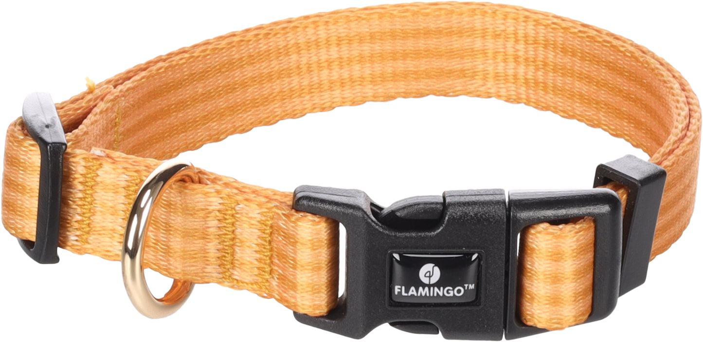 Halsband Noekie – Strapazierfähig, Komfortabel & Stilvoll