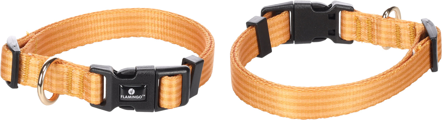 Halsband Noekie – Strapazierfähig, Komfortabel & Stilvoll