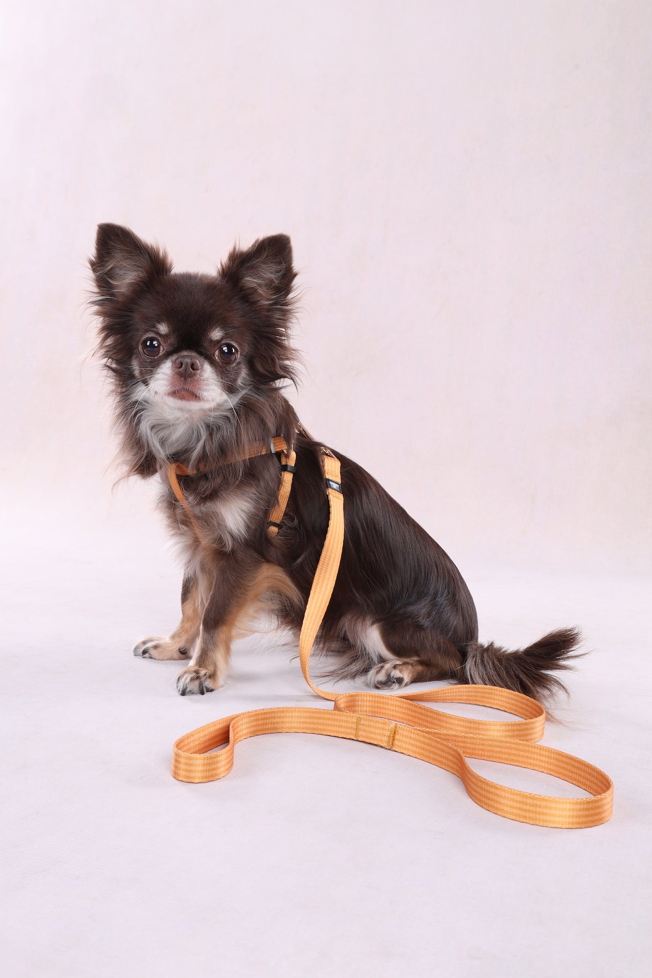 Geschirr Step&Go Noekie – Komfort, Stil & Sicherheit in Einem