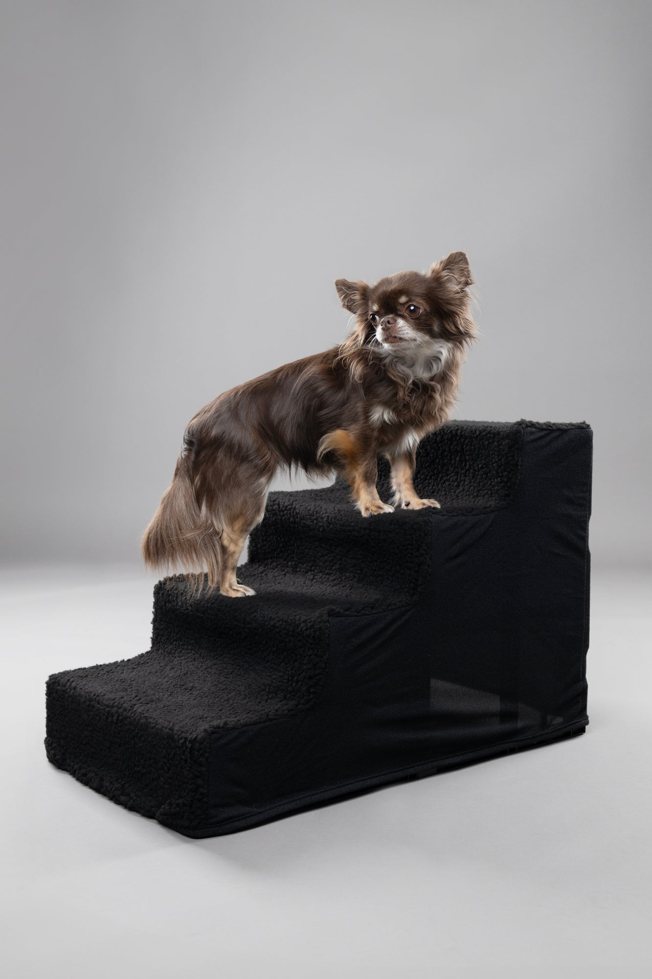 Treppe Tampa Schwarz – Die perfekte Aufstiegshilfe für Ihren Hund
