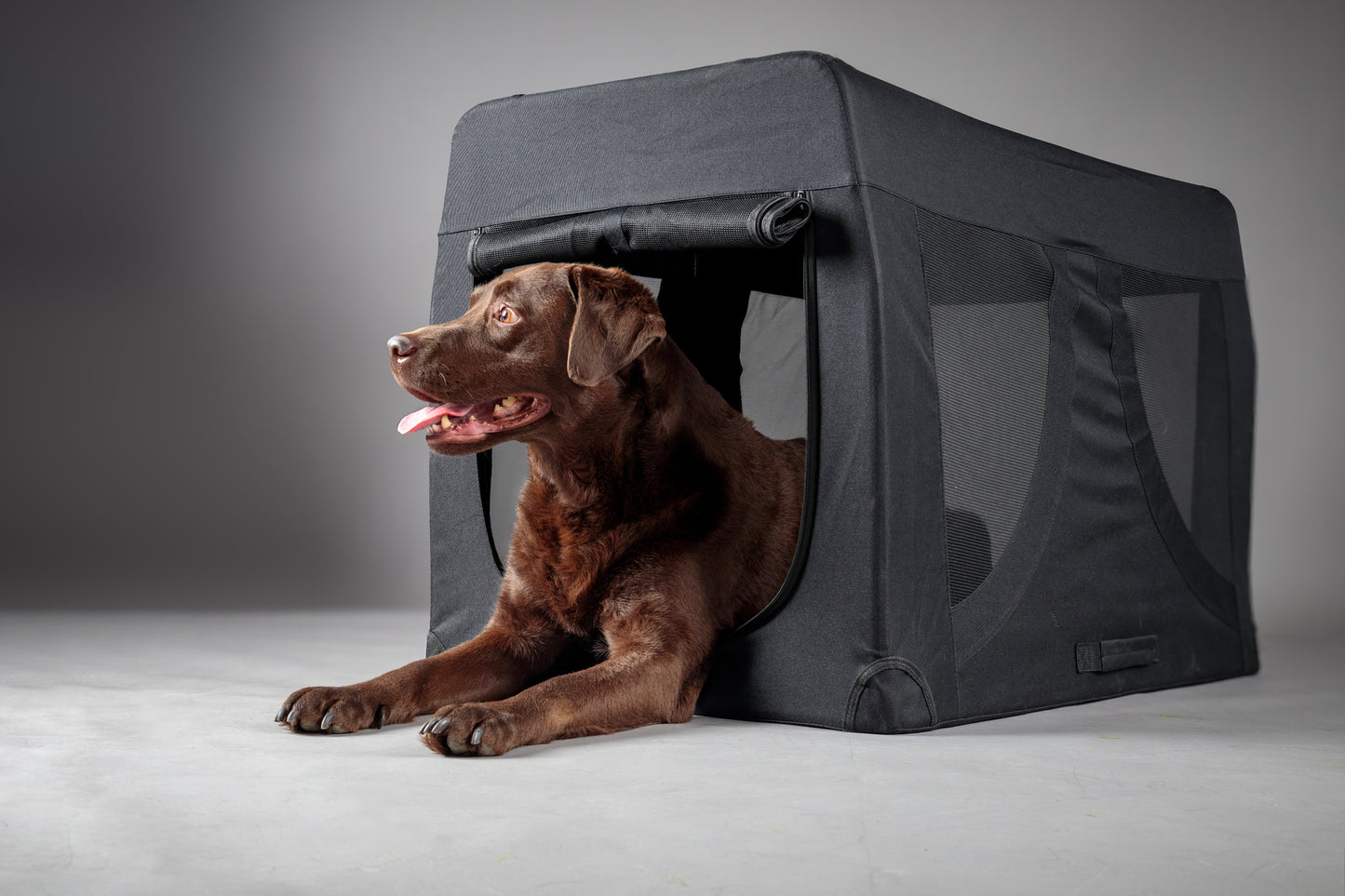 Transportkäfig Gepetto Schwarz – Leicht, Faltbar & Sicher für Ihren Hund!