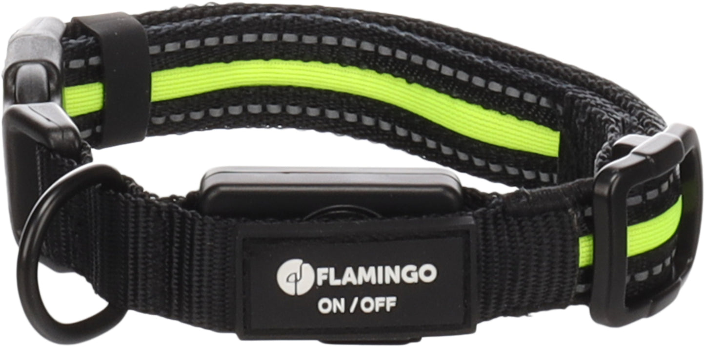 Halsband Flitzy – Für maximale Sichtbarkeit und Sicherheit bei Nacht!