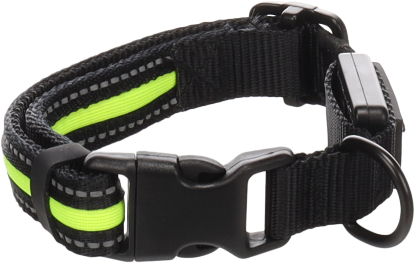 Halsband Flitzy – Für maximale Sichtbarkeit und Sicherheit bei Nacht!