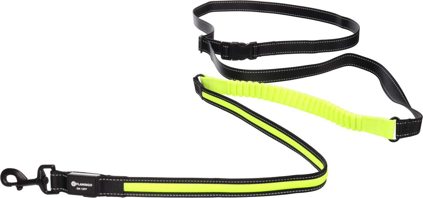 Wiederaufladbare LED Joggingleine Flitzy – Sichtbarkeit & Sicherheit beim Gassi gehen