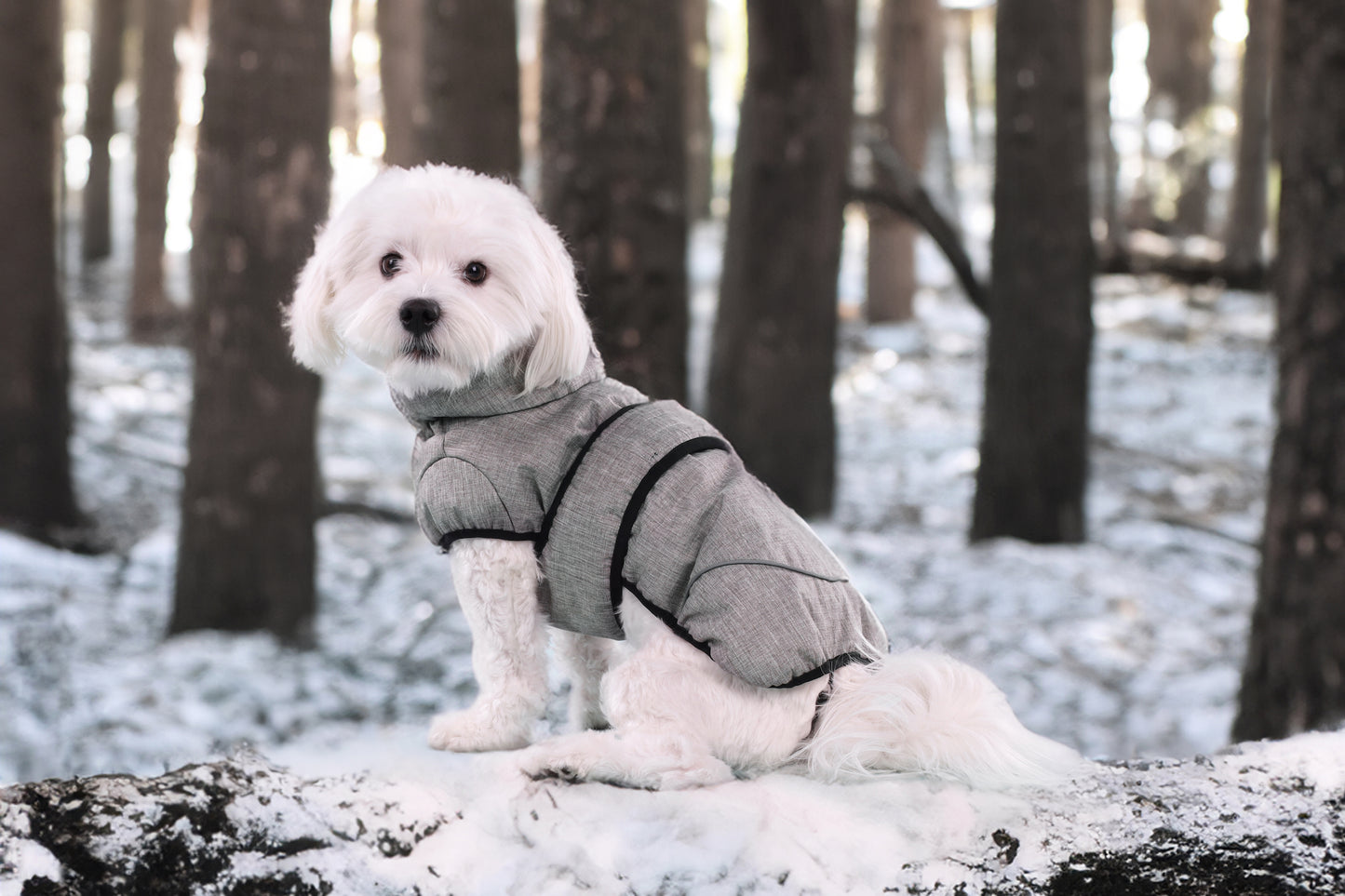 Wintermantel Iglu – Warm, Stylisch & Wetterfest