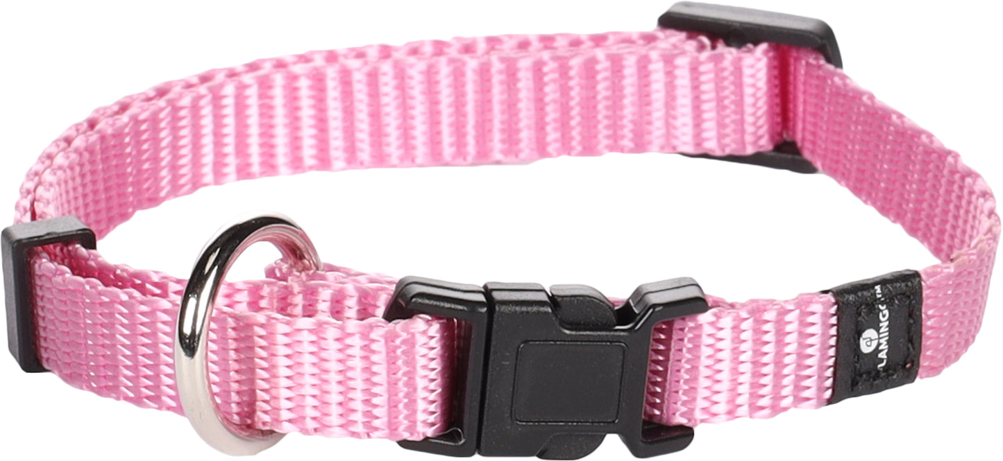Halsband Ziggi – Perfekte Balance aus Eleganz, Schutz & Tragekomfort!