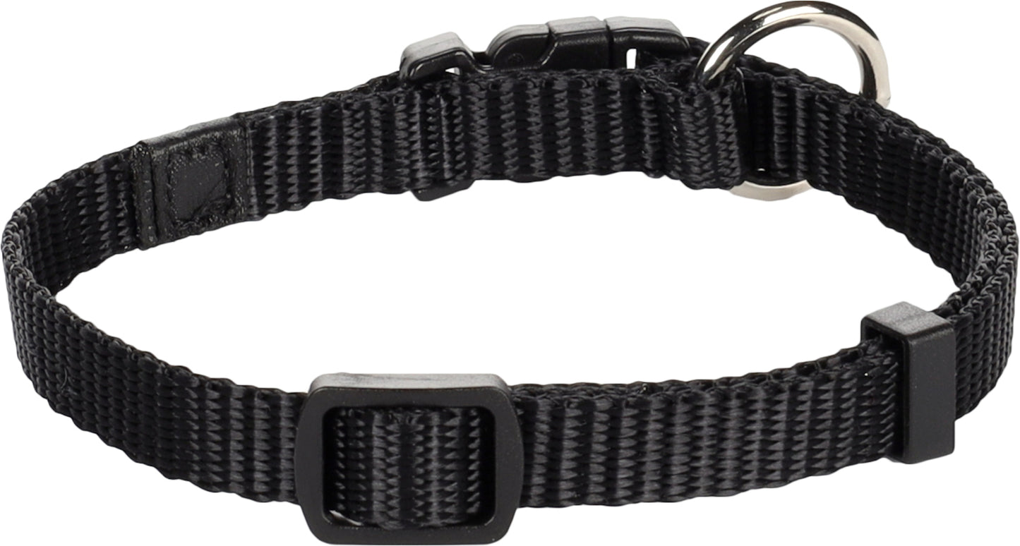 Halsband Ziggi – Perfekte Balance aus Eleganz, Schutz & Tragekomfort!