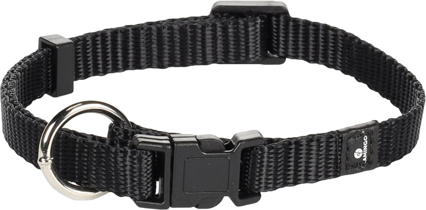 Halsband Ziggi – Perfekte Balance aus Eleganz, Schutz & Tragekomfort!