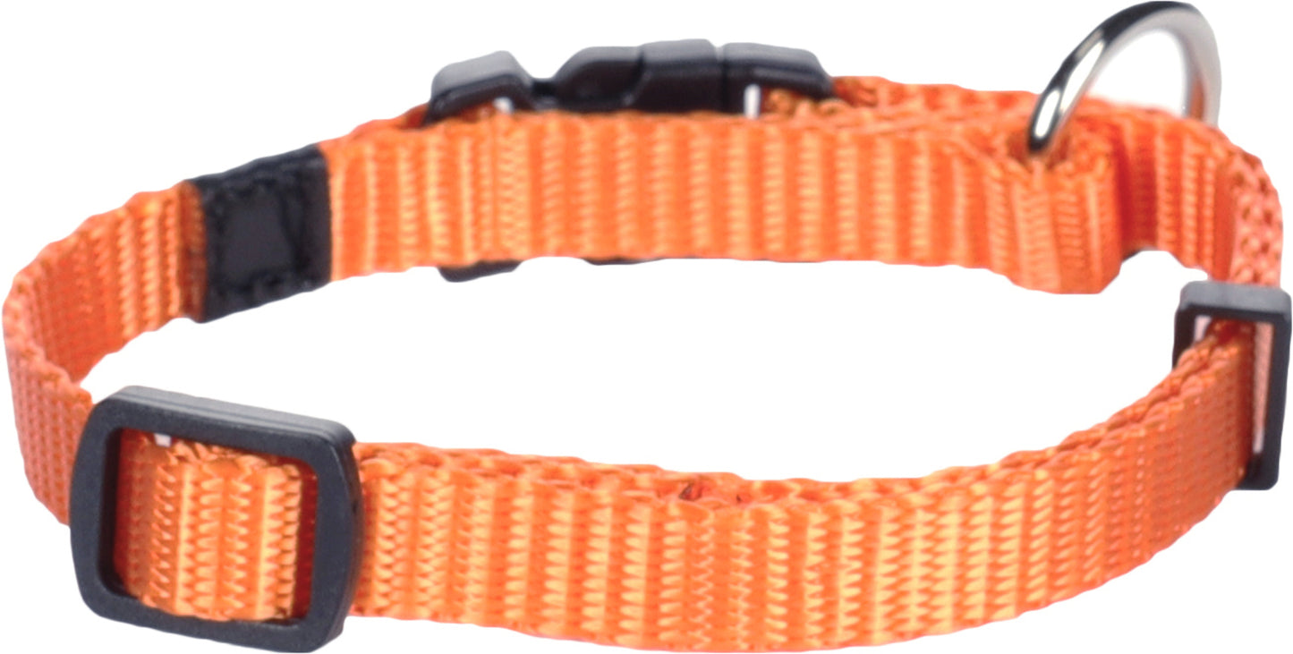 Halsband Ziggi – Perfekte Balance aus Eleganz, Schutz & Tragekomfort!