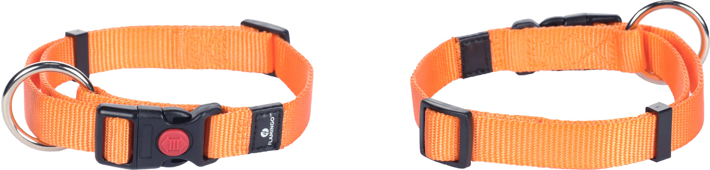 Halsband Ziggi – Perfekte Balance aus Eleganz, Schutz & Tragekomfort!