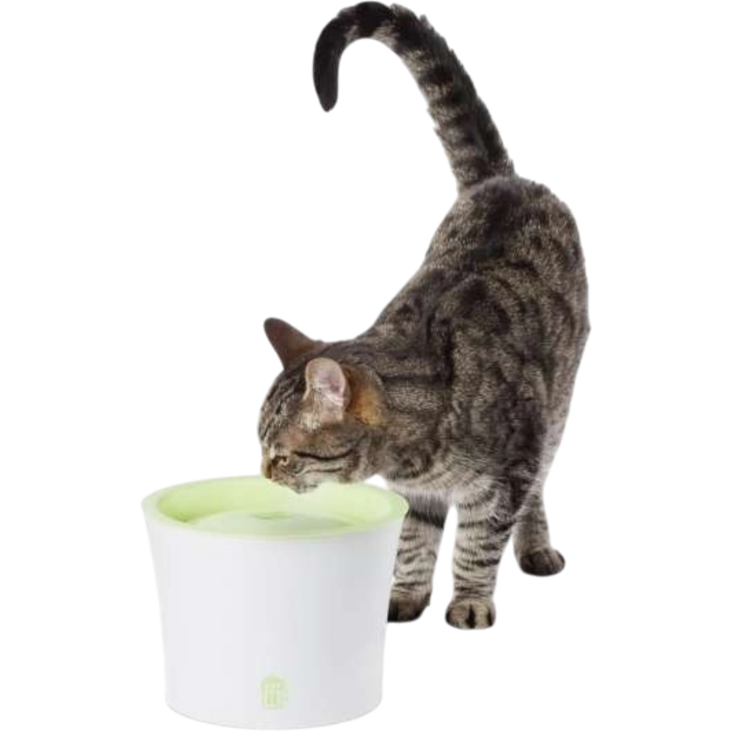 CATIT Fresh+Clear Trinkbrunnen 3L – Frisches Wasser für mehrere Haustiere