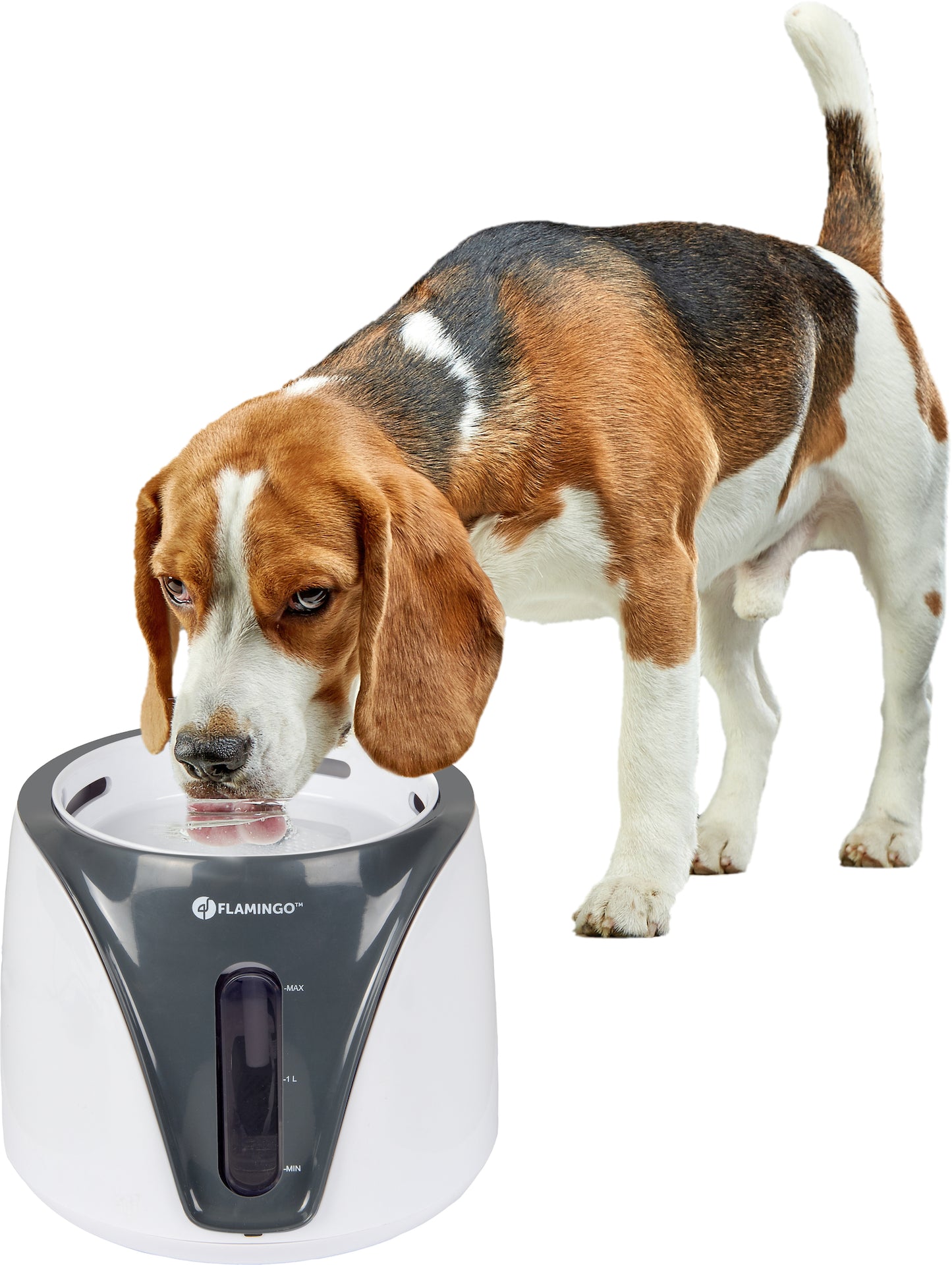 Trinkbrunnen Adriana – Frische Hydration für Katzen und Hunde