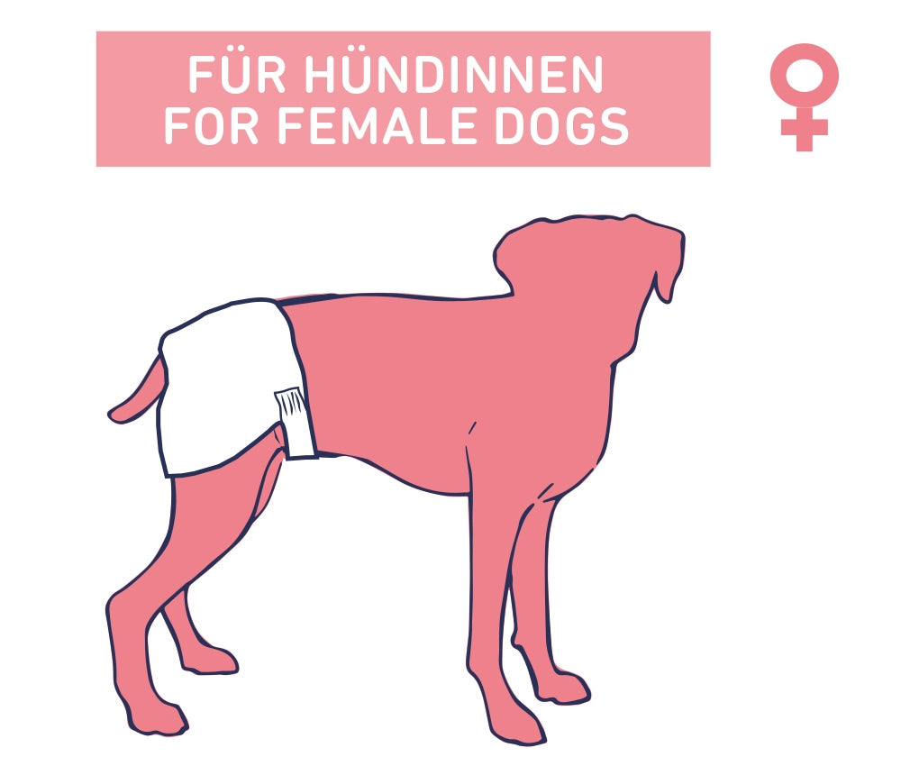 Windeln für Hündinnen – Zuverlässiger Schutz bei Läufigkeit, Inkontinenz & nach OPs