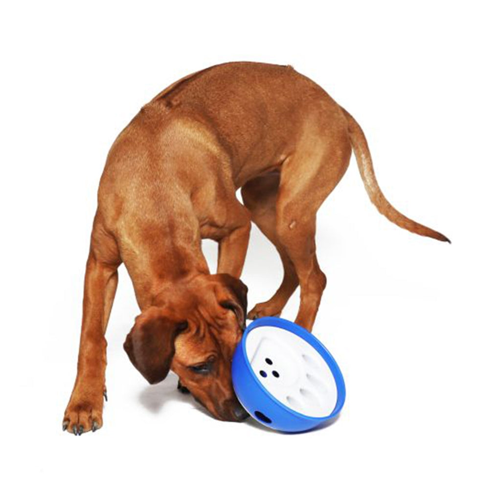 Beschäftigungsnapf „Kick ´N Feed“ – Interaktiver Fressspaß für Ihren Hund