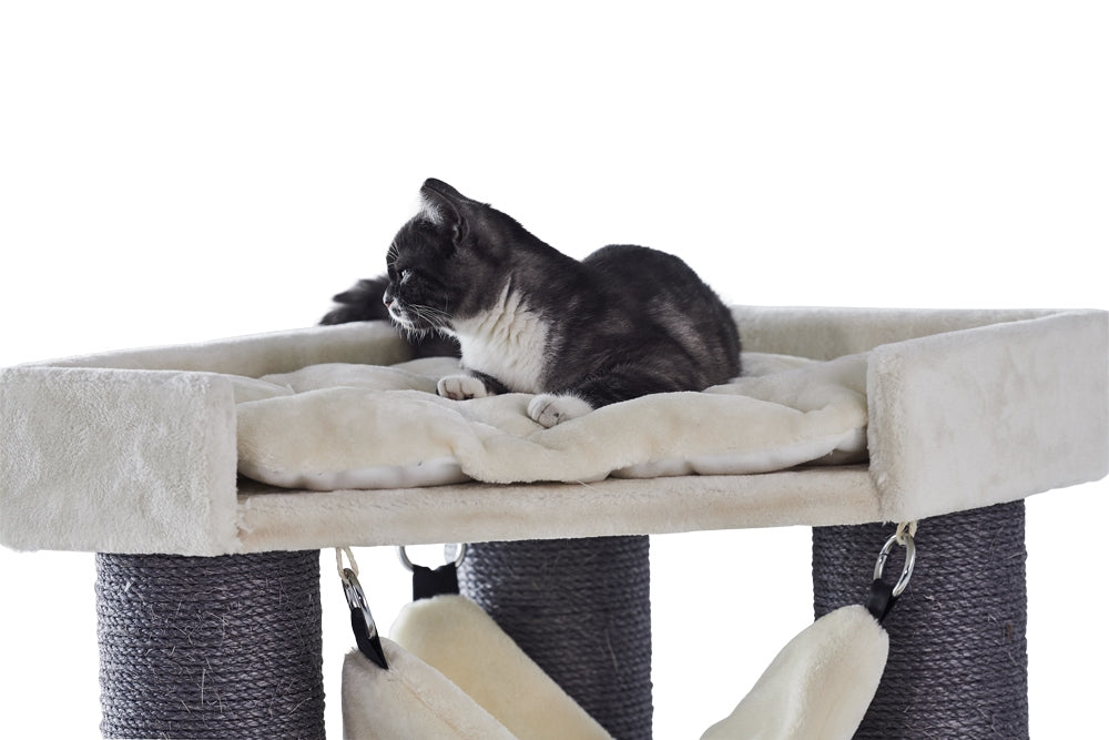 Kratzbaum „Chilo“ – Perfekt für große & schwere Katzen