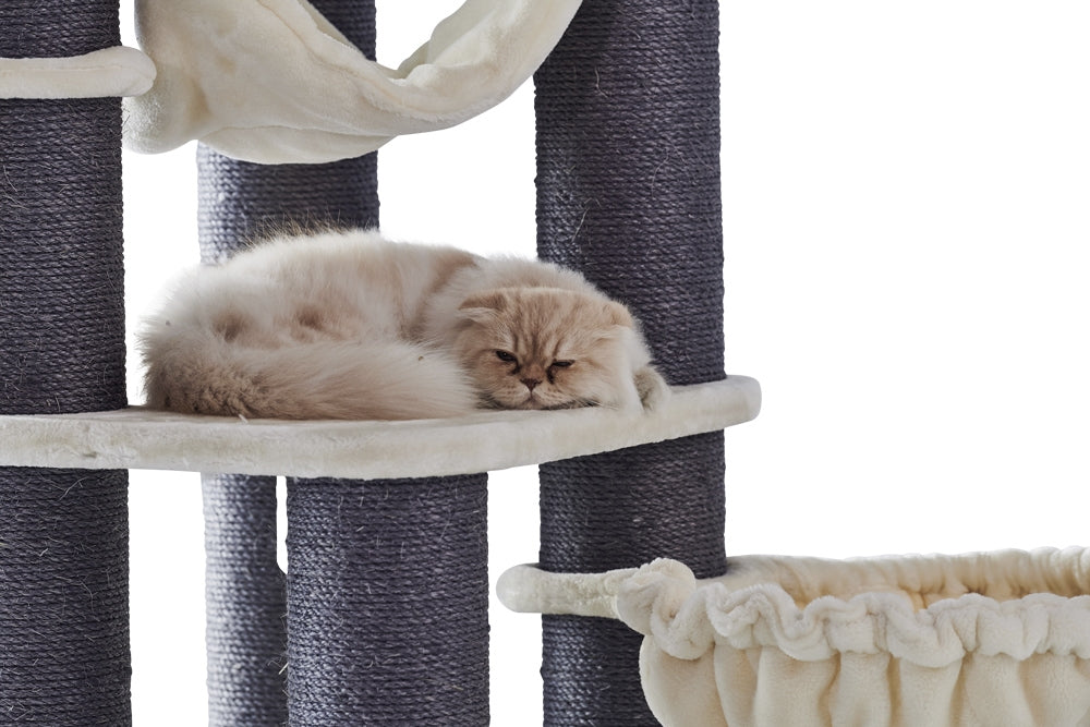 Kratzbaum „Chilo“ – Perfekt für große & schwere Katzen